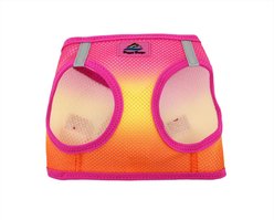 Doggie Design American River Ombre Nylon Reflective Back Clip Dog Harness, Raspberry Pink & Orange, Large: 19 to 21-in chest