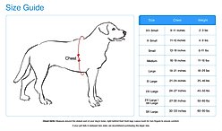 Doggie Design American River Ombre Nylon Reflective Back Clip Dog Harness, Raspberry Pink & Orange, Small: 13 to 16-in chest slide 2 of 5