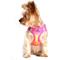 Show in main carousel: Doggie Design American River Ombre Nylon Reflective Back Clip Dog Harness, Raspberry Pink & Orange, Small: 13 to 16-in chest slide 4 of 9