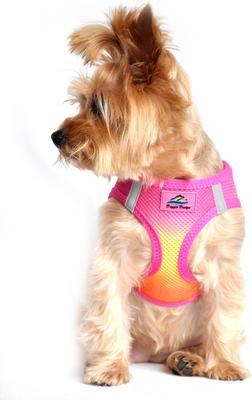 Show full view: Doggie Design American River Ombre Nylon Reflective Back Clip Dog Harness, Raspberry Pink & Orange, Small: 13 to 16-in chest slide 4 of 9