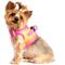 Show in main carousel: Doggie Design American River Ombre Nylon Reflective Back Clip Dog Harness, Raspberry Pink & Orange, Small: 13 to 16-in chest slide 5 of 9