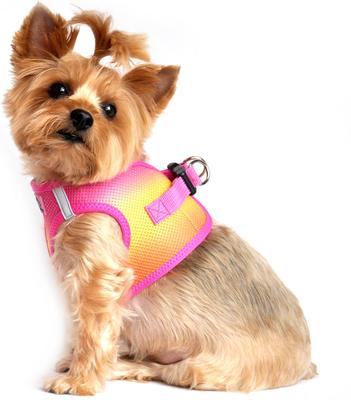 Show full view: Doggie Design American River Ombre Nylon Reflective Back Clip Dog Harness, Raspberry Pink & Orange, Small: 13 to 16-in chest slide 5 of 9
