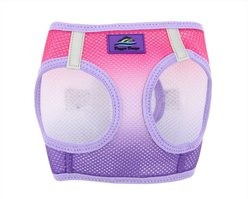 Doggie Design American River Ombre Nylon Reflective Back Clip Dog Harness, Raspberry Sundae, Small: 13 to 16-in chest