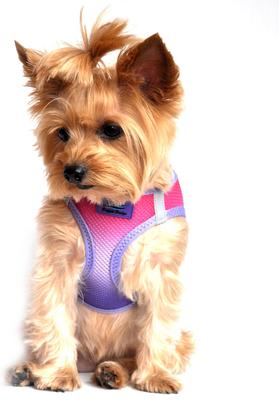 Show full view: Doggie Design American River Ombre Nylon Reflective Back Clip Dog Harness, Raspberry Sundae, X-Small: 11 to 13-in chest slide 4 of 9