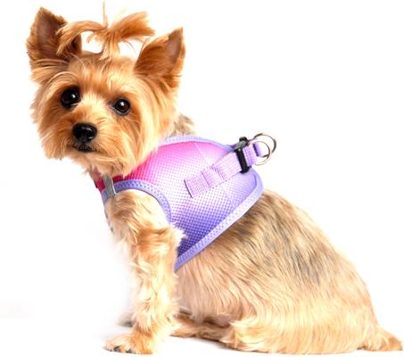 Show full view: Doggie Design American River Ombre Nylon Reflective Back Clip Dog Harness, Raspberry Sundae, X-Small: 11 to 13-in chest slide 5 of 9