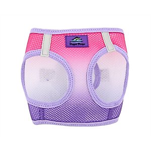Doggie Design American River Ombre Nylon Reflective Back Clip Dog Harness, Raspberry Sundae, XX-Large: 24 to 27-in chest