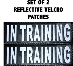 Doggie Stylz Dog In Training Dog Patch, 2 count, Large