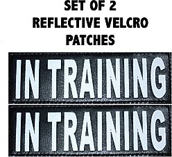 Doggie Stylz Dog In Training Dog Patch, 2 count, Small