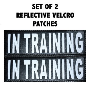 Doggie Stylz Dog In Training Dog Patch, 2 count, Small
