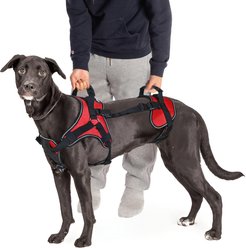 Doggie Stylz Multi-Functional Full-Body Lifting Basic Dog Harness, Red, Large: 26 to 33-in chest
