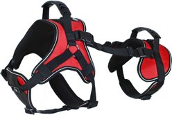 Doggie Stylz Multi-Functional Full-Body Lifting Basic Dog Harness, Red, X-Large: 31 to 43-in chest