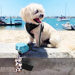 Doggie Walk Bags Leopard Duffel Dog Poop Bag Holder & Bags, 12 count slide 2 of 2