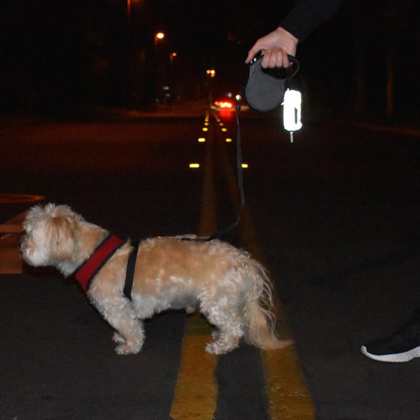 Show full view: Doggie Walk Bags Reflective Duffel Poop Bag Dispenser, Grey slide 4 of 5