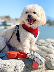 Doggie Walk Bags Scented Tie Handle Dog Poop Bags, Rainbow, 72 count slide 2 of 4