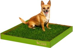 DoggieLawn Large Natural Real Grass Dog Pee Pad, 24-in x 24-in slide 1 of 9