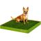 Show in main carousel: DoggieLawn Large Natural Real Grass Dog Pee Pad, 24-in x 24-in slide 1 of 12