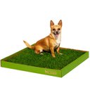 DoggieLawn Large Natural Real Grass Dog Pee Pad, 24-in x 24-in