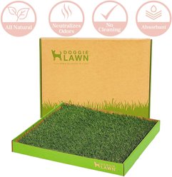 DoggieLawn Large Natural Real Grass Dog Pee Pad, 24-in x 24-in slide 2 of 9