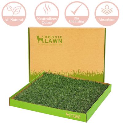 Show full view: DoggieLawn Large Natural Real Grass Dog Pee Pad, 24-in x 24-in slide 3 of 12