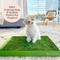 Show in main carousel: DoggieLawn Large Natural Real Grass Dog Pee Pad, 24-in x 24-in slide 6 of 12