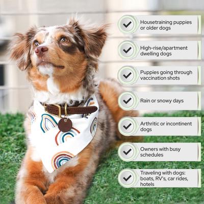 Show full view: DoggieLawn Large Natural Real Grass Dog Pee Pad, 24-in x 24-in slide 8 of 12