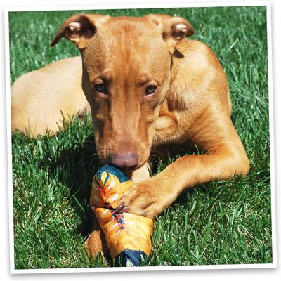 Show full view: Doggijuana Get Outside Refillable Juananip Hiking Boot Squeaky Dog Plush Toy slide 9 of 9