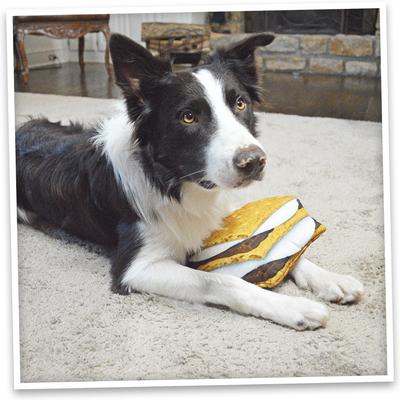 Show full view: Doggijuana Get Outside Refillable Juananip S'mores Squeaky Dog Plush Toy slide 9 of 9