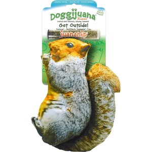 Doggijuana Get Outside Refillable Juananip Squirrel Squeaky Dog Plush Toy