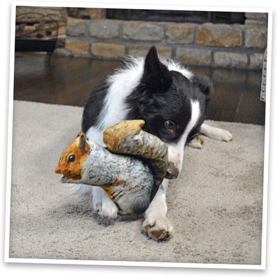 Show full view: Doggijuana Get Outside Refillable Juananip Squirrel Squeaky Dog Plush Toy slide 7 of 8