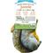 Show in main carousel: Doggijuana Get Outside Refillable Juananip Squirrel Squeaky Dog Plush Toy slide 6 of 8