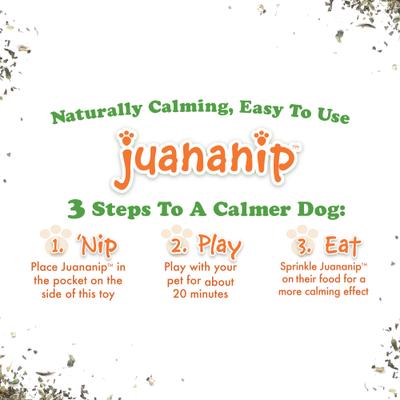 Show full view: Doggijuana Get Outside Refillable Juananip Squirrel Squeaky Dog Plush Toy slide 3 of 8