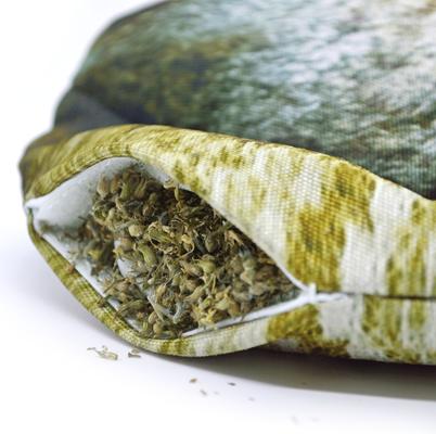 Show full view: Doggijuana Get Outside Refillable Juananip Squirrel Squeaky Dog Plush Toy slide 5 of 8