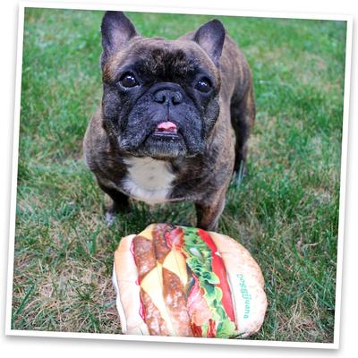 Show full view: Doggijuana Get the Munchies Refillable Juananip Cheeseburger Squeaky Dog Plush Toy slide 7 of 7