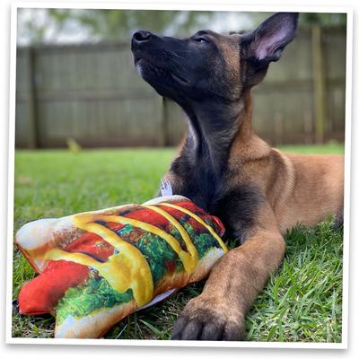Show full view: Doggijuana Get the Munchies Refillable Juananip Hot Dog Squeaky Dog Plush Toy slide 7 of 9