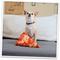 Show in main carousel: Doggijuana Get the Munchies Refillable Juananip Pizza Squeaky Dog Plush Toy slide 8 of 10