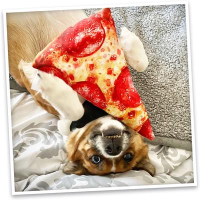 Show full view: Doggijuana Get the Munchies Refillable Juananip Pizza Squeaky Dog Plush Toy slide 7 of 10