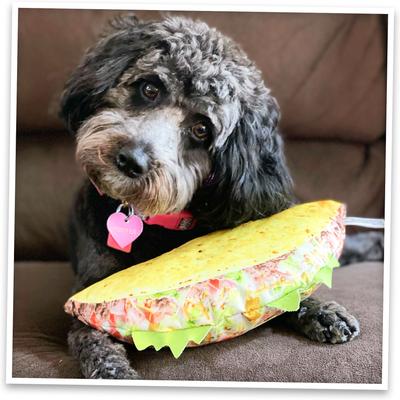 Show full view: Doggijuana Get the Munchies Refillable Juananip Taco Squeaky Dog Plush Toy slide 9 of 10