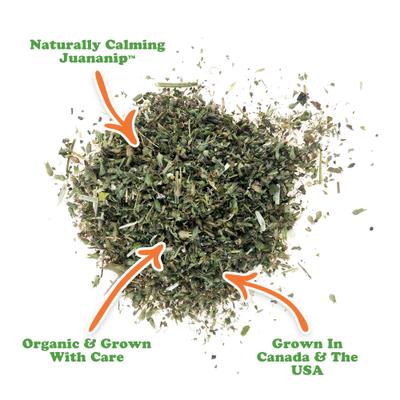 Show full view: Doggijuana Juananip, 3.67-oz jar slide 3 of 6