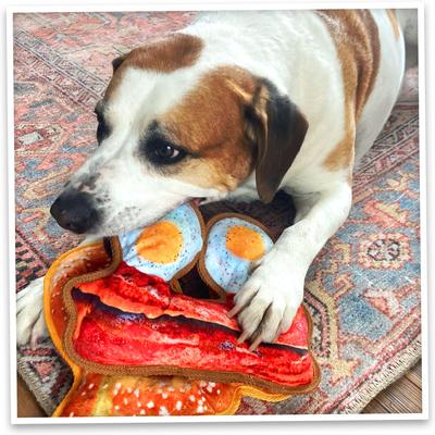 Show full view: Doggijuana Tuffer Chewer Refillable Juananip Eggs & Bacon Tough Squeaky Dog Plush Toy slide 7 of 10