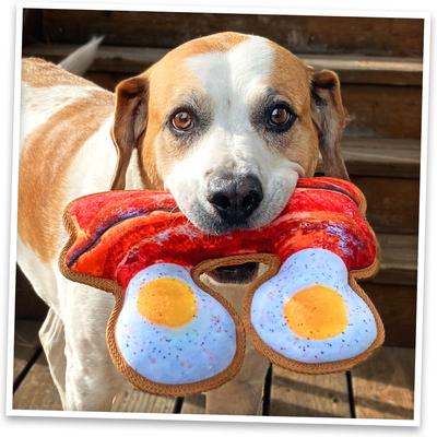 Show full view: Doggijuana Tuffer Chewer Refillable Juananip Eggs & Bacon Tough Squeaky Dog Plush Toy slide 8 of 10