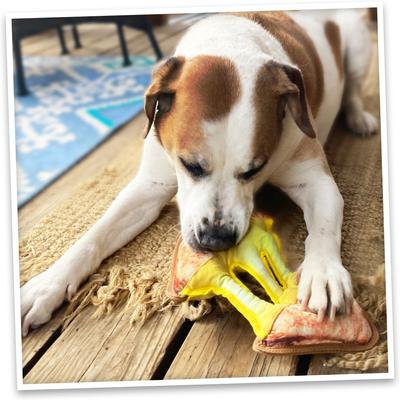 Show full view: Doggijuana Tuffer Chewer Refillable Juananip Grilled Cheese Tough Squeaky Dog Plush Toy slide 8 of 10