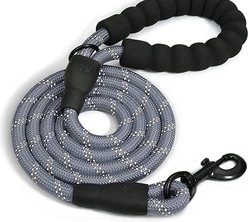 Doggy Tales Braided Dog Leash, 5-ft, Gray