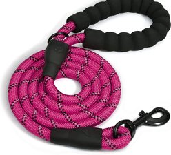 Doggy Tales Braided Dog Leash, 5-ft, Hot pink