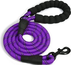 Doggy Tales Braided Dog Leash, 5-ft, Purple