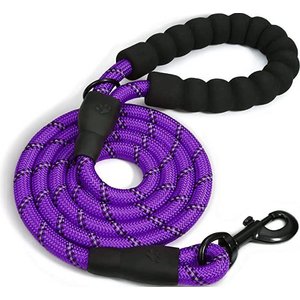 Doggy Tales Braided Dog Leash, 5-ft, Purple