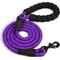 Show in main carousel: Doggy Tales Braided Dog Leash, 5-ft, Purple slide 1 of 4