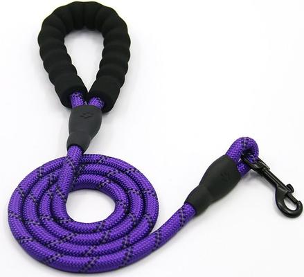 Show full view: Doggy Tales Braided Dog Leash, 5-ft, Purple slide 3 of 4