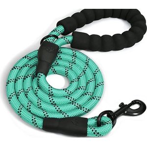 Doggy Tales Braided Dog Leash, 5-ft, Turquoise