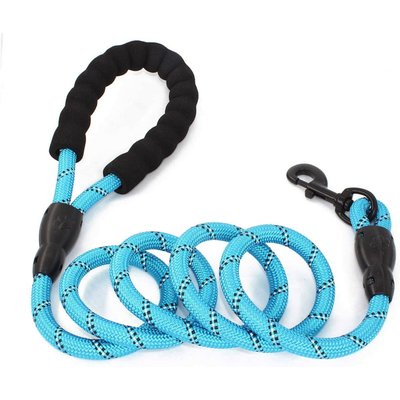 Doggy Tales Doggy Tales Braided Rope Dog Leash, 5-ft long, Blue