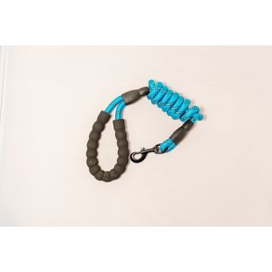 Doggy Tales Braided Rope Dog Leash, 5-ft long, Blue